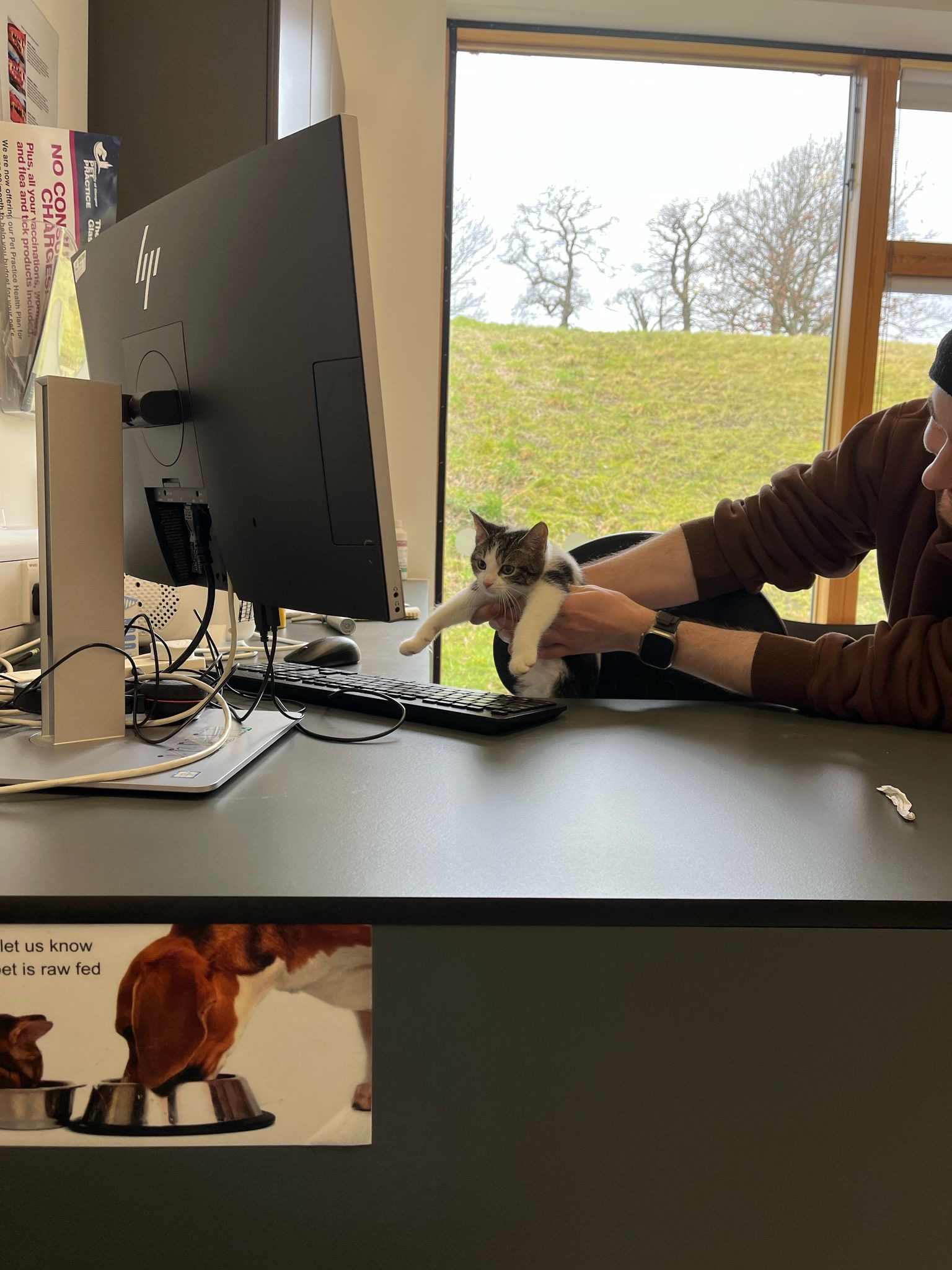 Ferris Harrison handling a kitten